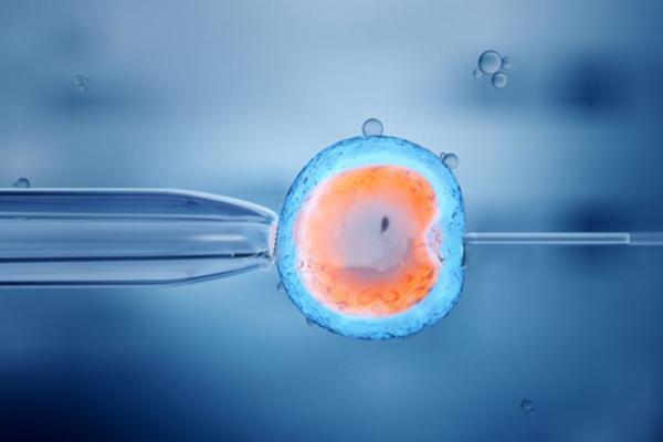 试管婴儿可以直接做双胞胎吗?来看看专家怎么说