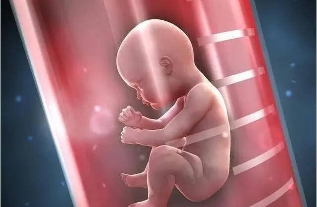 为什么同样做美国试管婴儿花费却不大一样?