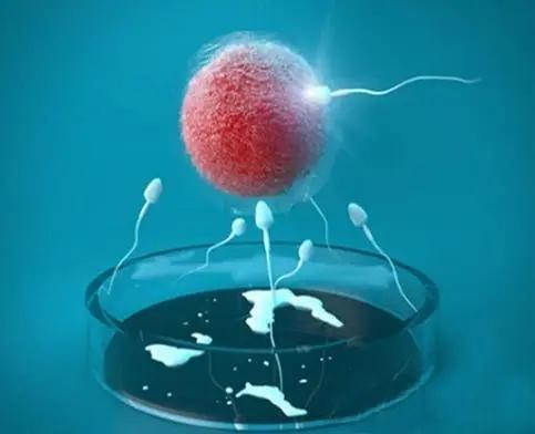 【试管科普】俄罗斯试管婴儿技术助孕怎么样？