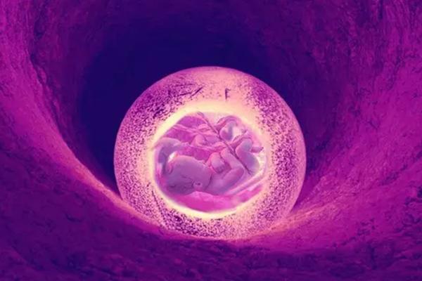 6个基础卵泡一般能取几个,具体看专家怎么说