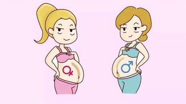 24周四维榜单上有三个亮点,一分钟教你如何从彩超看男女