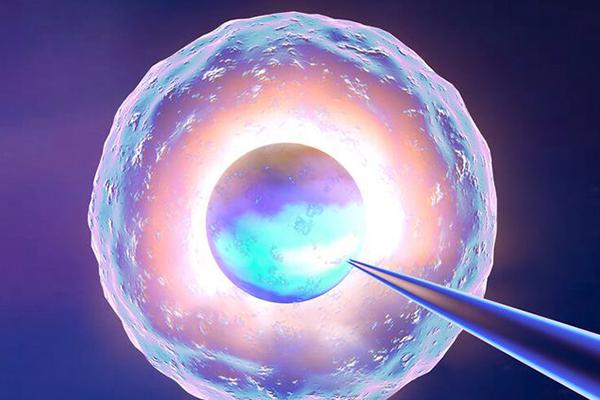 —代试管婴儿生孩子比孩子多?看看专家怎么说