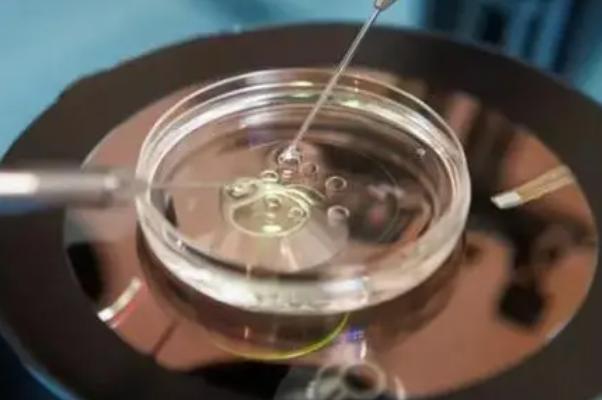 2023试管婴儿费用揭秘，准备5万块绰绰有余