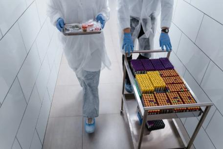 去日本做试管不需要结婚证,单身女性的福音来喽!