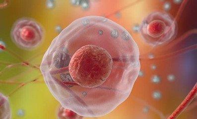 试管婴儿中精子卵子配对成功的几率有多少？