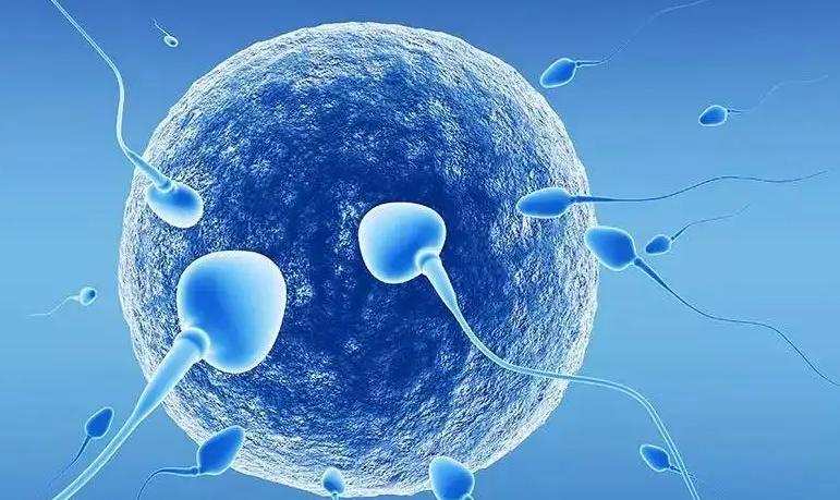 2022云南试管医院排名,除了试管医院还有哪家医院有试管医院