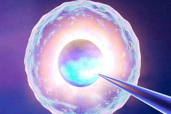 过来人分享助孕生子排队等待时长,附比较新助孕生子费用明细