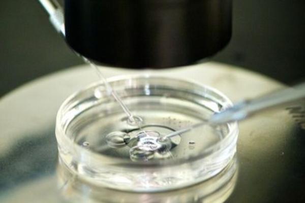 2022乌克兰试管婴儿收费明细新出炉,这些费用全公开