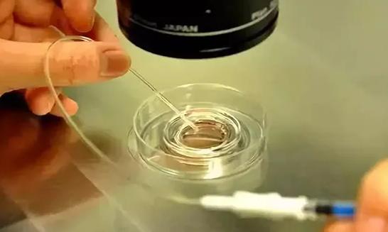 分析做三代试管对女人的伤害:这5大潜在危险你不能不知道