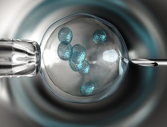 马来西亚三代试管费用是多少,6万够吗?