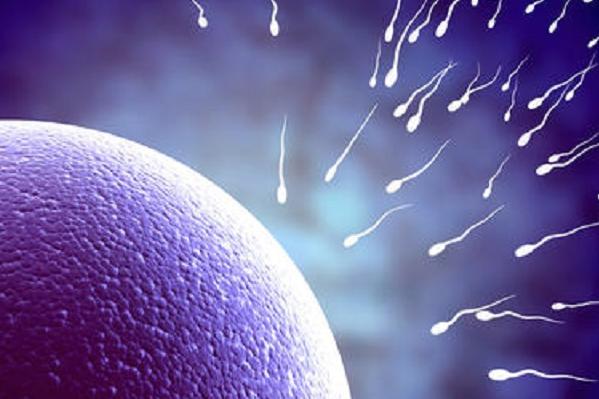 2022上海名院医院三代试管婴儿费用公开!