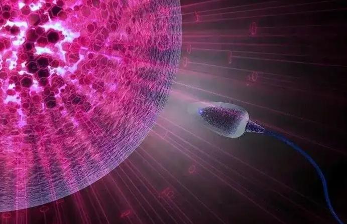 囊胚着床比较晚不超过14天，这些信号暗示好孕到来