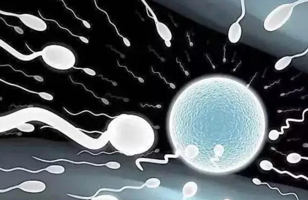 2022辽宁试管医院哪家好,附成功率排名参考指南