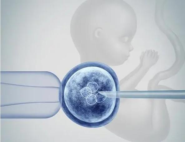 试管移植后忌口一览表参考,这些水果、蔬菜都不能吃