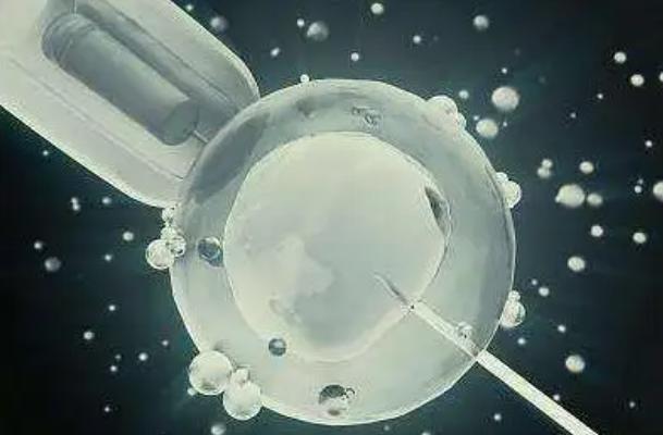 不要小看5ca囊胚等级低,质量高也能移植成功