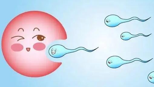 女性做人工授精成功率比自然受孕高吗,两者区别真不大!
