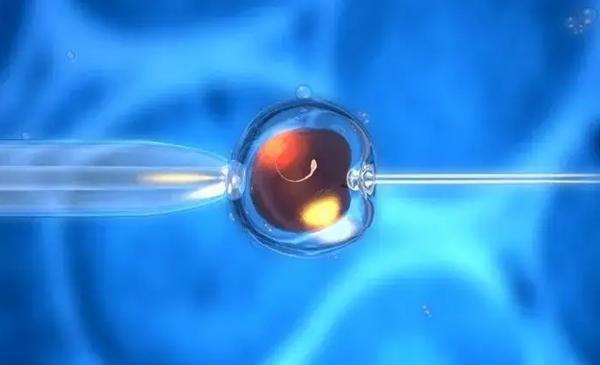 冻胚移植后少量出血预示着胚胎着床成功，所以出现出血不要慌