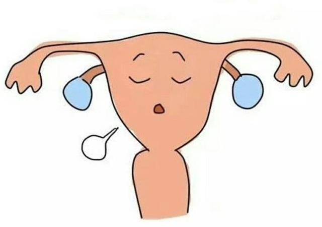 自己体内膜薄试管移植冻胚，想成功可以选择这种方案