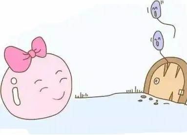 25岁基础卵泡有多少个正常,能做试管婴儿吗