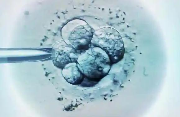 为什么试管婴儿医生会要求查基础卵泡,提高试管成功率是首要目的