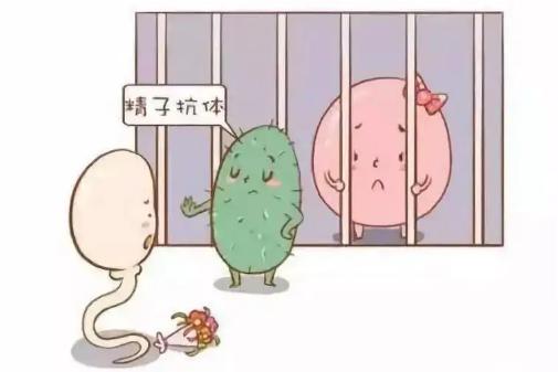 患有免疫性不孕的女性可以做试管婴儿来助孕吗?