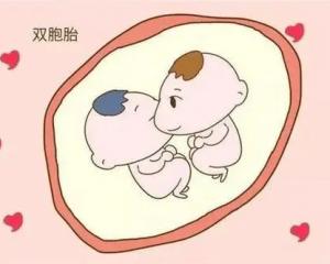 三代试管婴儿可以生双胞胎或者是双胞胎吗