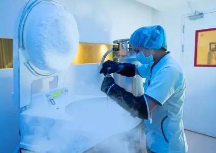 试管冷冻只能冷冻胚胎吗？NO！还可以冷冻患者的卵子和精子