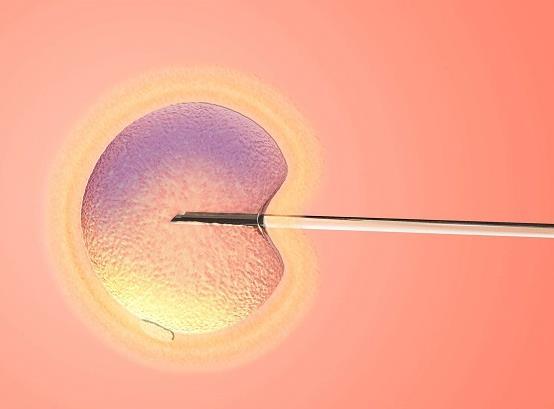 青岛私人医院三代试管为不孕家庭带来希望，技术备受全国赞誉