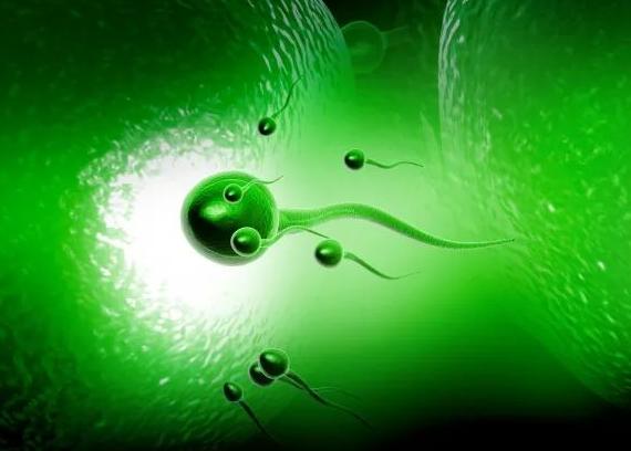 国内私人医院试管：为更多的人提供帮助。