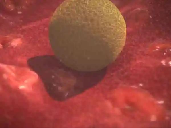 试管移殖后失败的症状及影响，让你做好充分心理准备