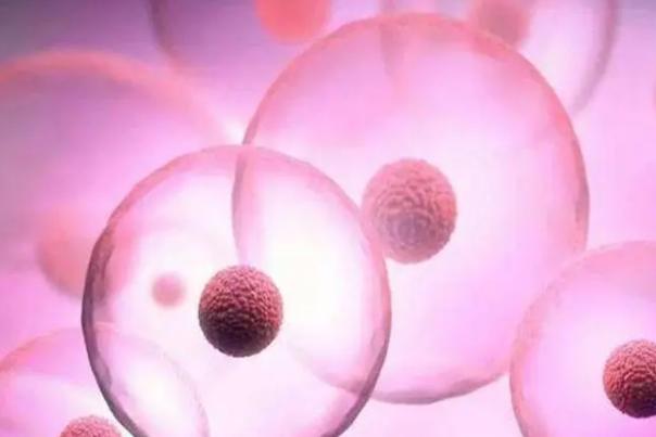 临沂私人医院做试管能生孩子吗，选择三代试管可以