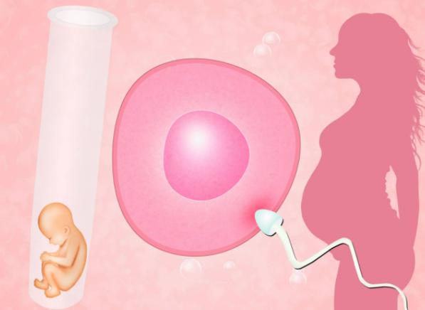 国内有私人医院支持试管婴儿吗，那是当然