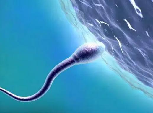 邯郸三代试管技术值得推荐，高素质医疗团队感受贴心护理