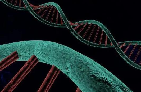 厦门私人试管医院推荐,这几家备受欢迎