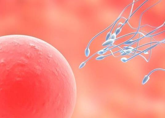 上海私人试管实验满足全方位需求，帮你顺利助孕