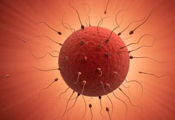 俄罗斯可为单身男性提供试管机会，务必做好准备工作