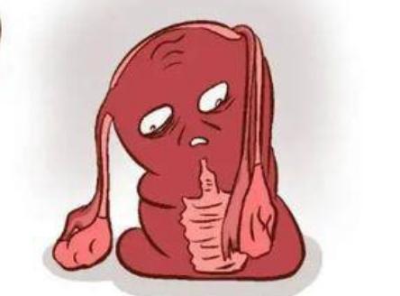 子宫萎缩的女性也能做试管婴儿，不过在移植之前要先进行治疗