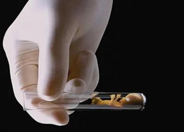 2023去香港私人医院试管婴儿,值得一试的决定