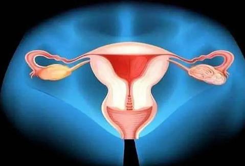 自己体内膜厚度对试管移植结果影响大，内膜达到这个范围移植成功率比较高