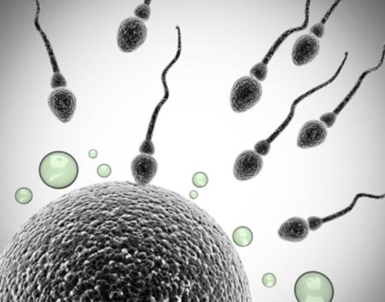 私人试管医院助孕技术和公立是一样的，申请流程一览