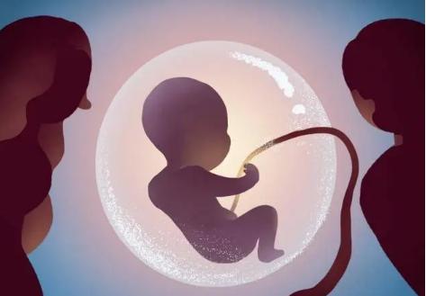 取卵之后多久可以进行胚胎移植？视女性的身体状况来决定