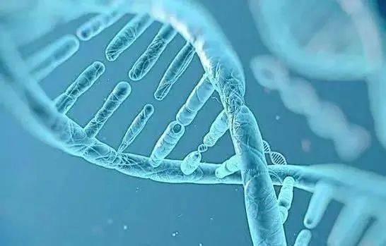 泰国三代试管技术可以实现生孩子，有效助孕出X和Y染色体即可