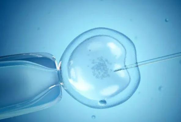 2023选择北京私人医院试管助孕,是一个明智的选择