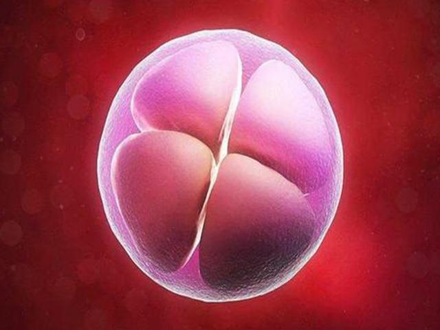 试管婴儿男人怎么取精子，附详细流程