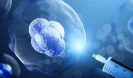 试管选择移植鲜胚之后女性的身体会有什么感觉？