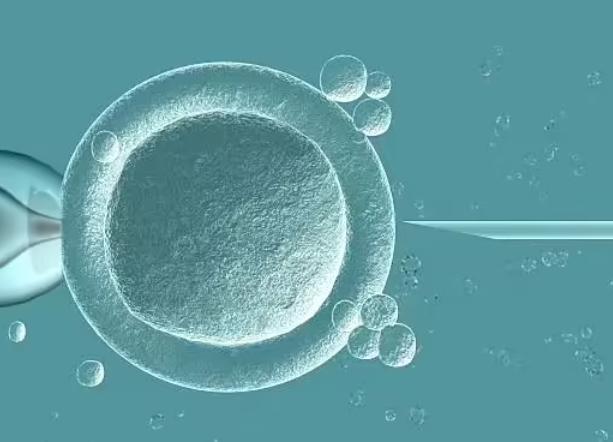 长沙试管婴儿技术得到患者认可，能够解决多种问题