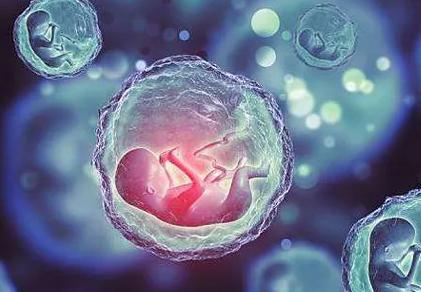 胚胎养囊失败的原因有很多，找准问题才能对症治疗