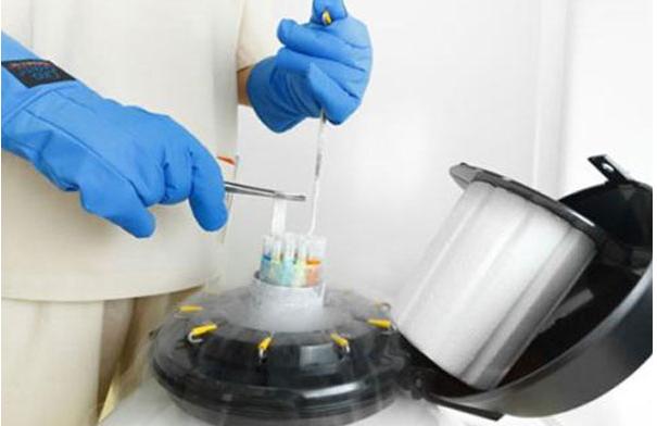 冷冻胚胎成功率？冷冻胚胎成功率高吗？