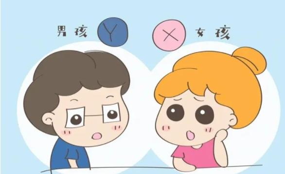 着床就决定孩子孩子吗?精子在同床后还是着床后决定生孩子?