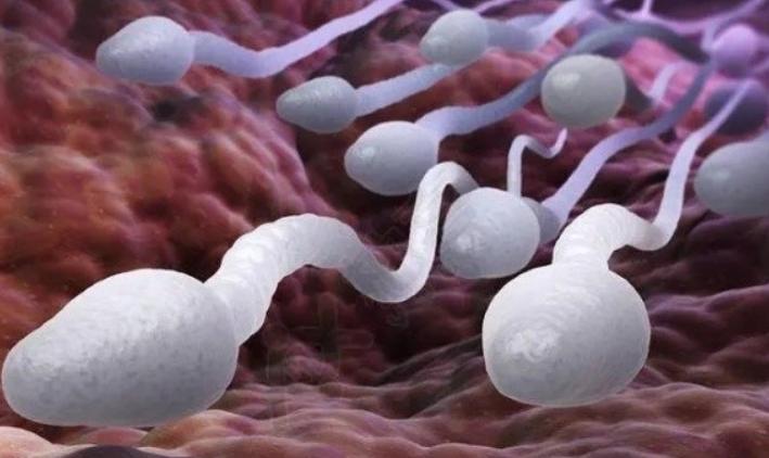 精子成活率45能生育吗?精子存活率45%怎么办?